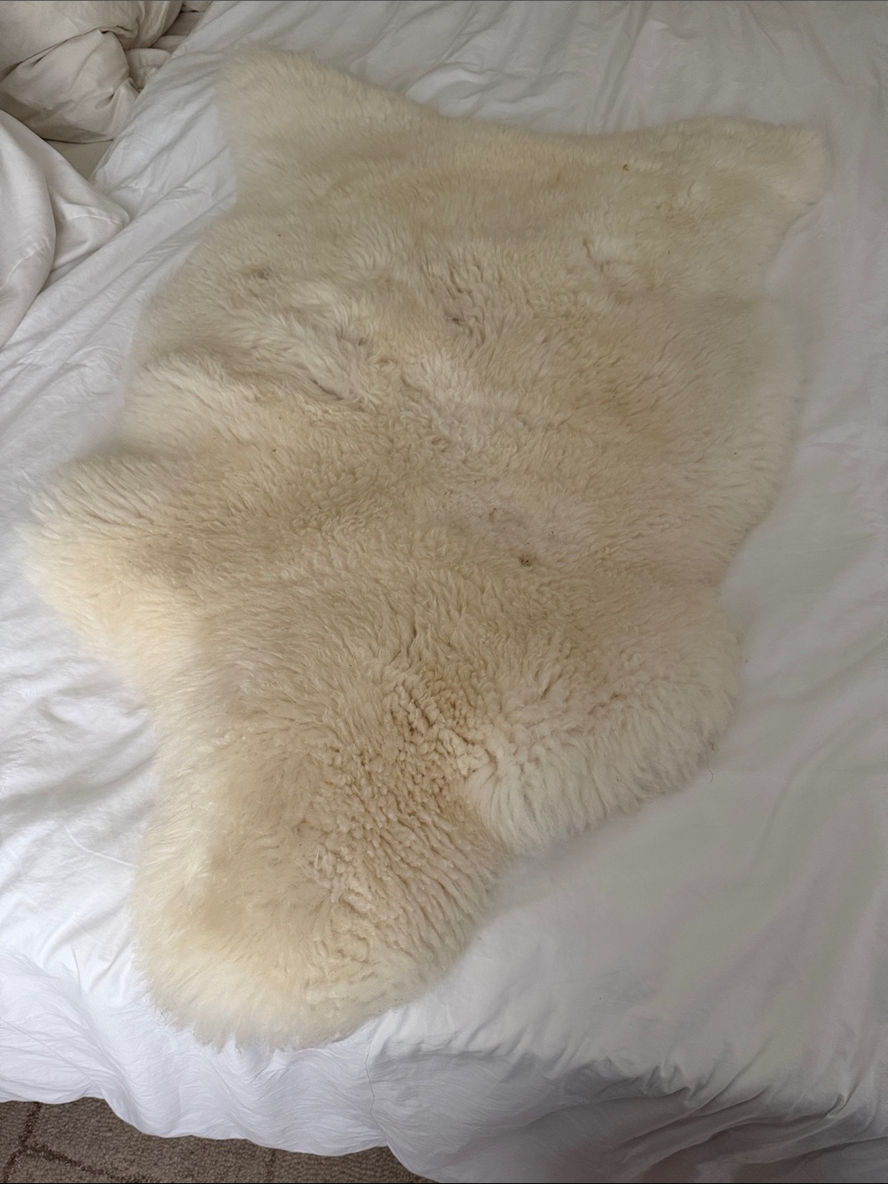 Cream Sheepskin Rug - Plush Soft Texture